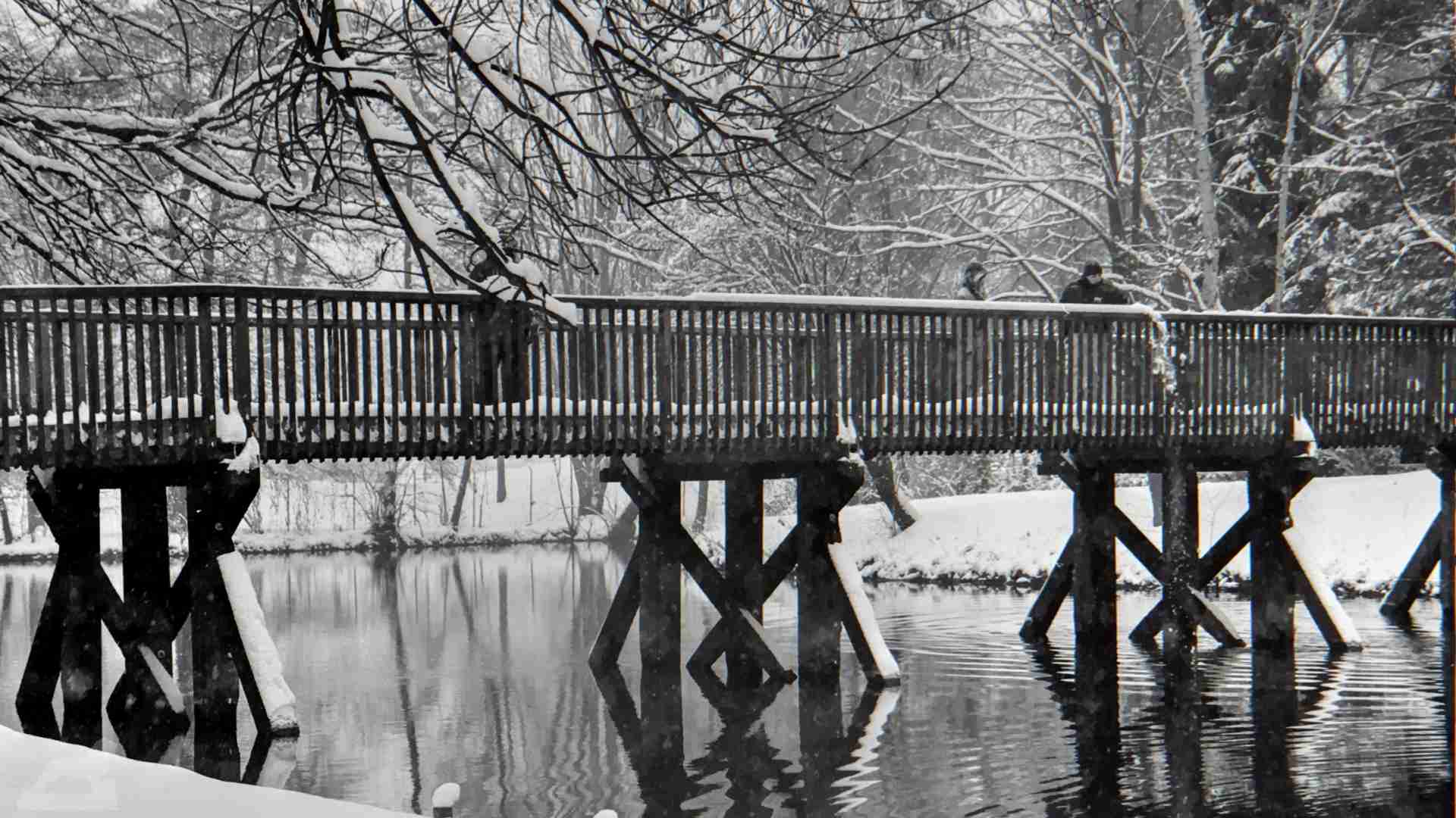 Brücke im Bürgerpark