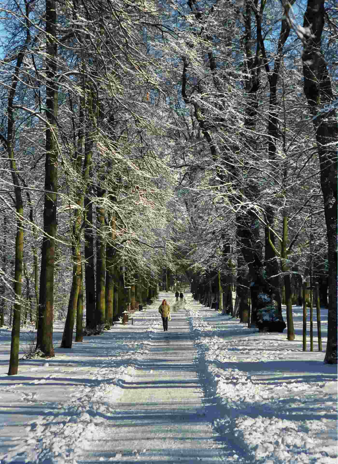 Prinz-Albrecht-Park im Winter