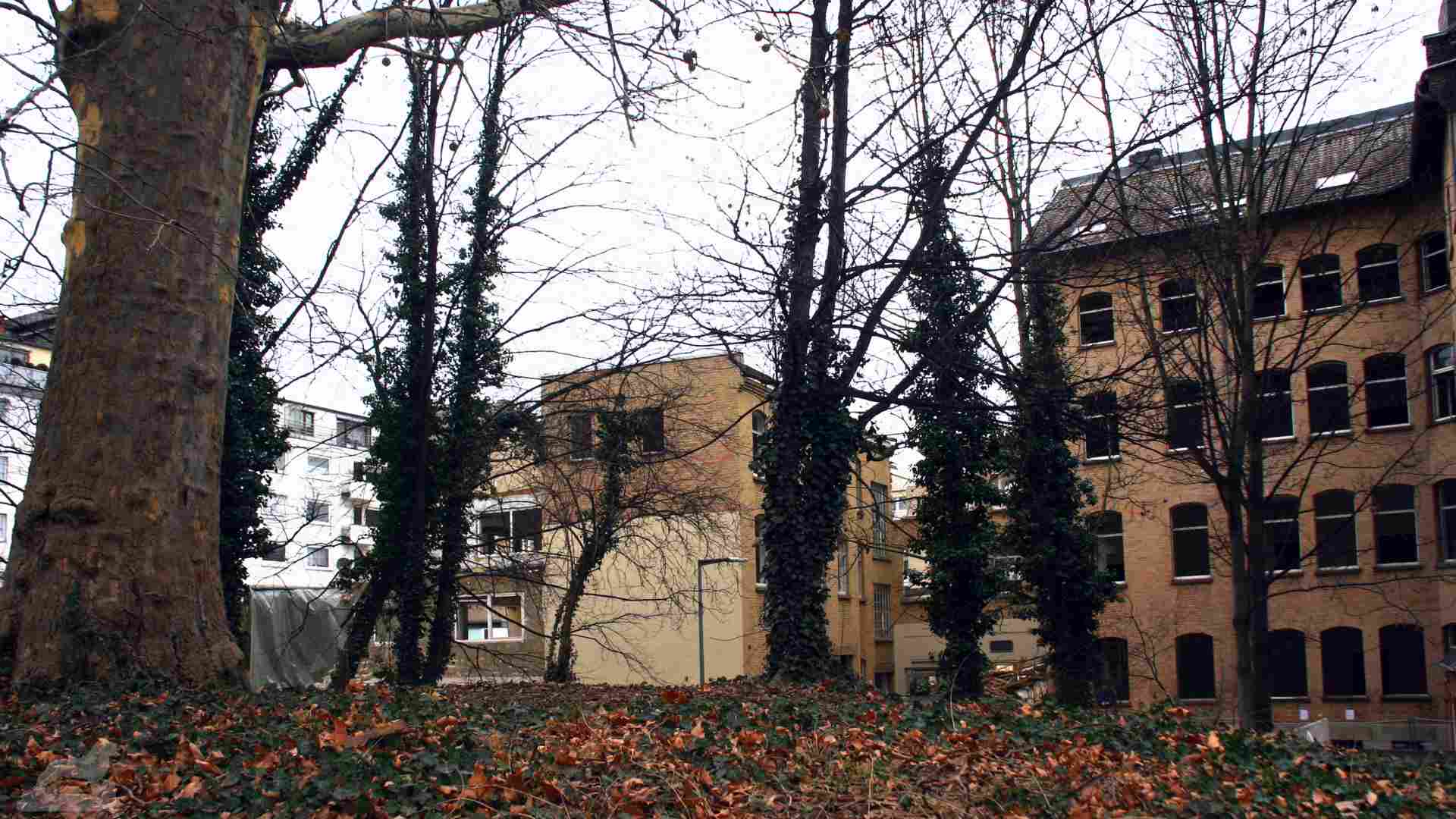 ehemaliger Platanenhügel, heute Standort des Schloß-Carree