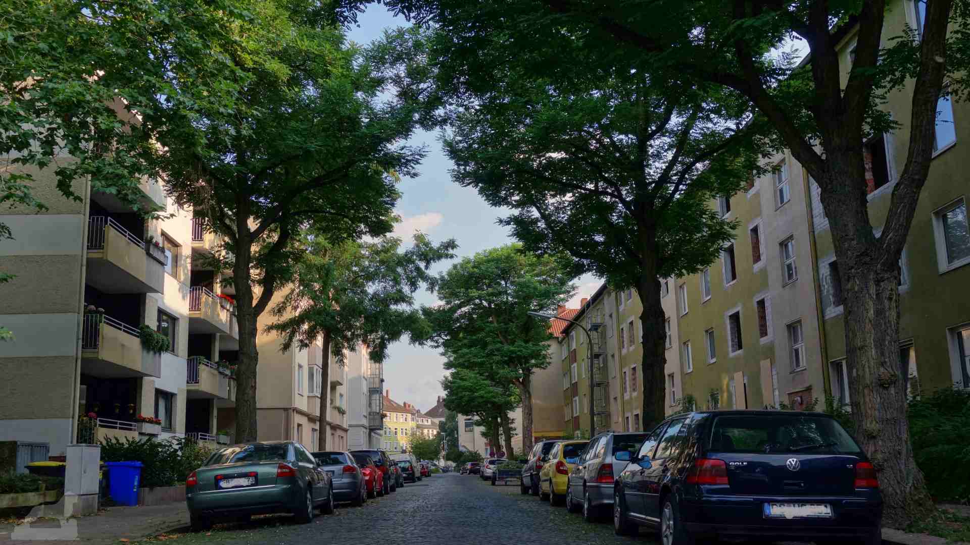Hartgerstraße - vor der Sanierung eine Allee