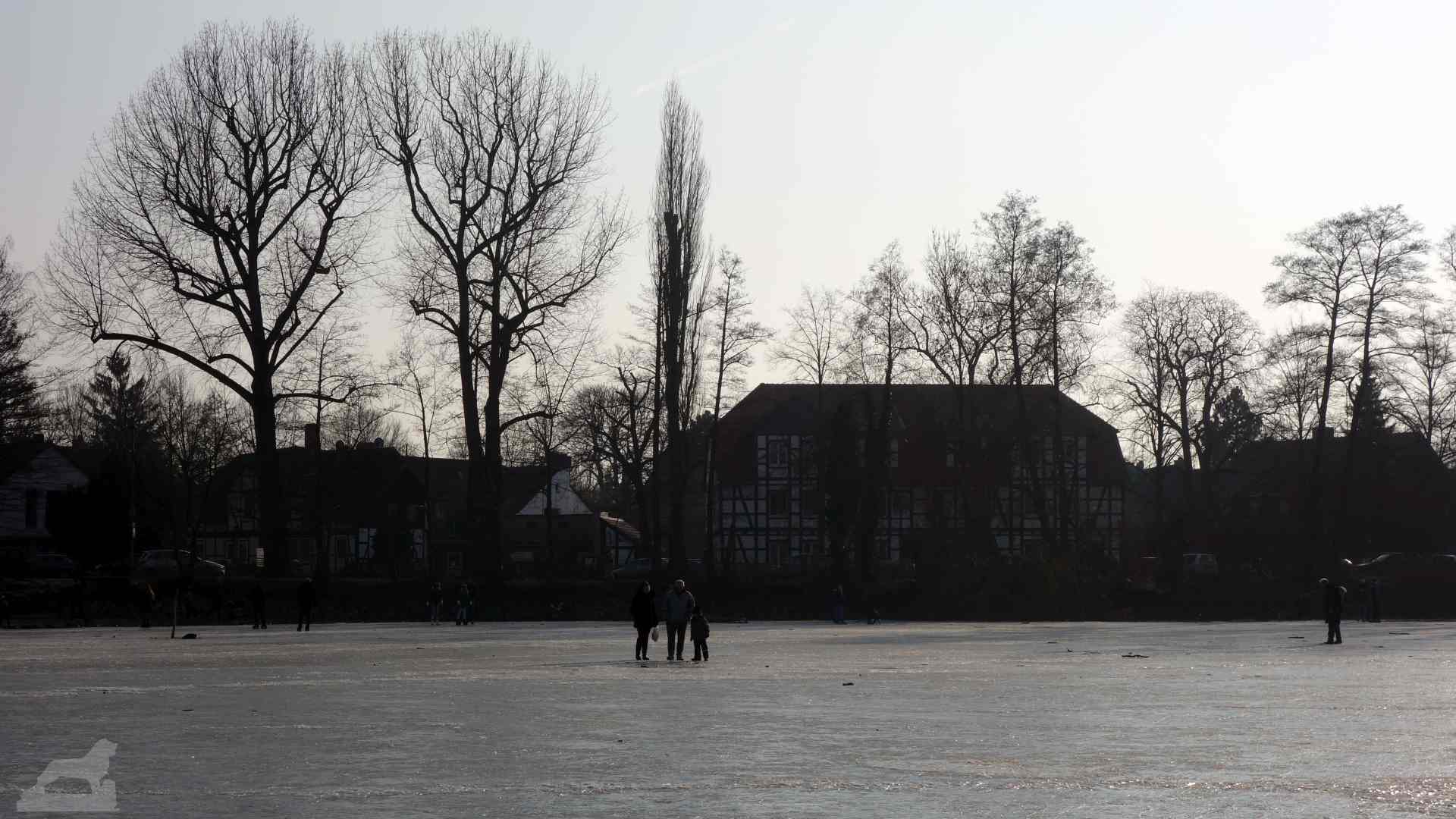 Kreuzteich im Winter (Riddagshäuser Teiche)