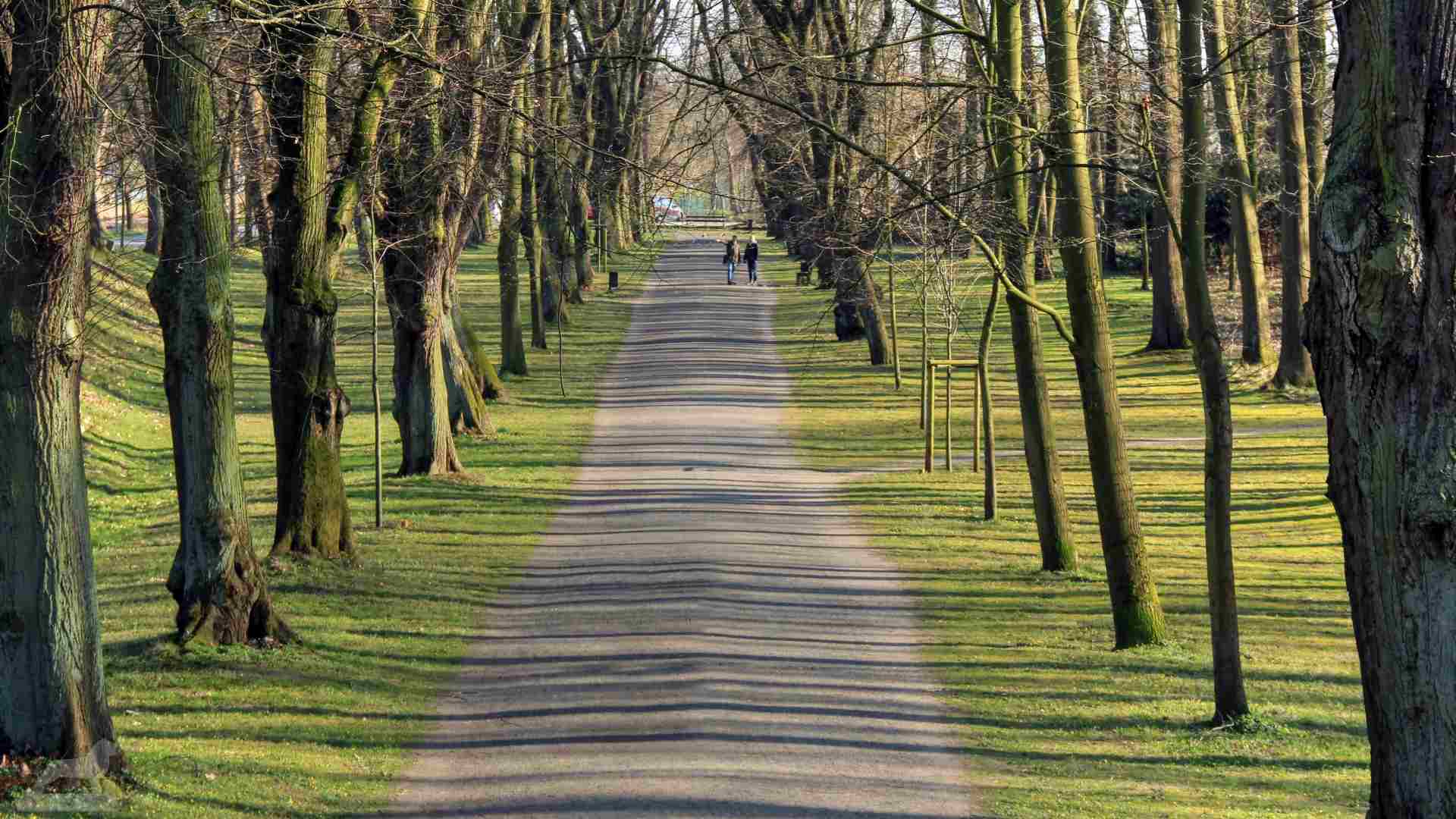 Prinz-Albrecht-Park