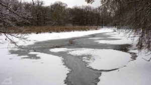 Lageteich (Riddagshausen)