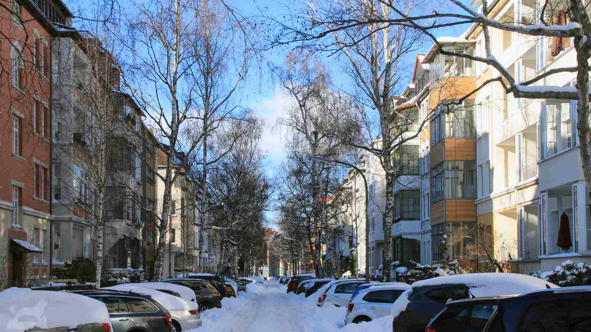 Wilhelm-Raabe-Straße