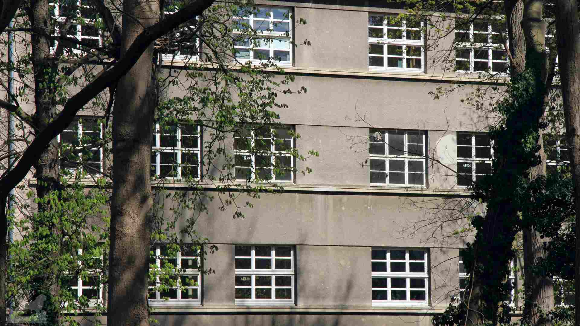 Selenka Schule