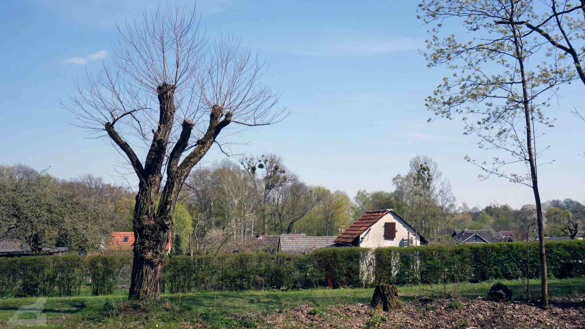 Kleingartenverein Nußberg