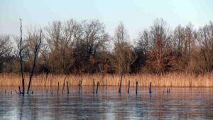 Moorhüttensee
