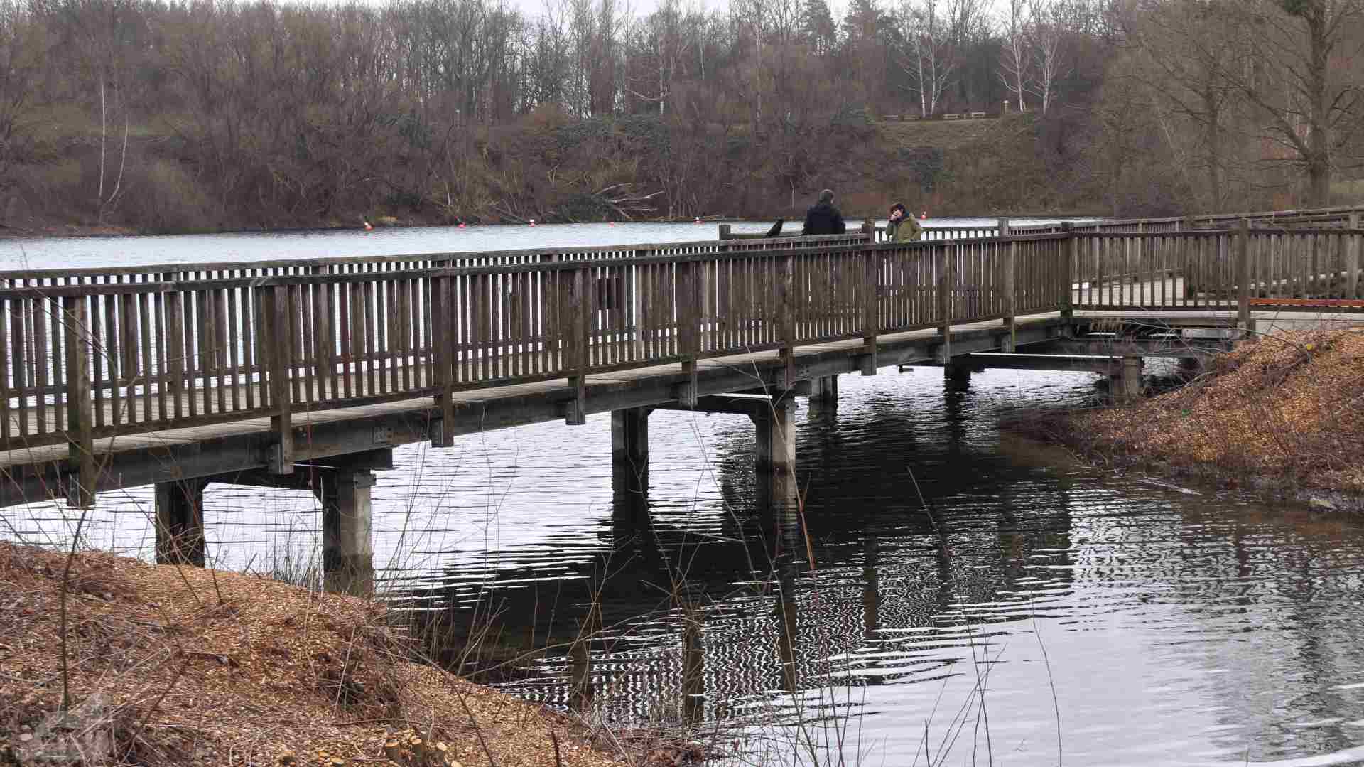Brücke am Heidbergsee