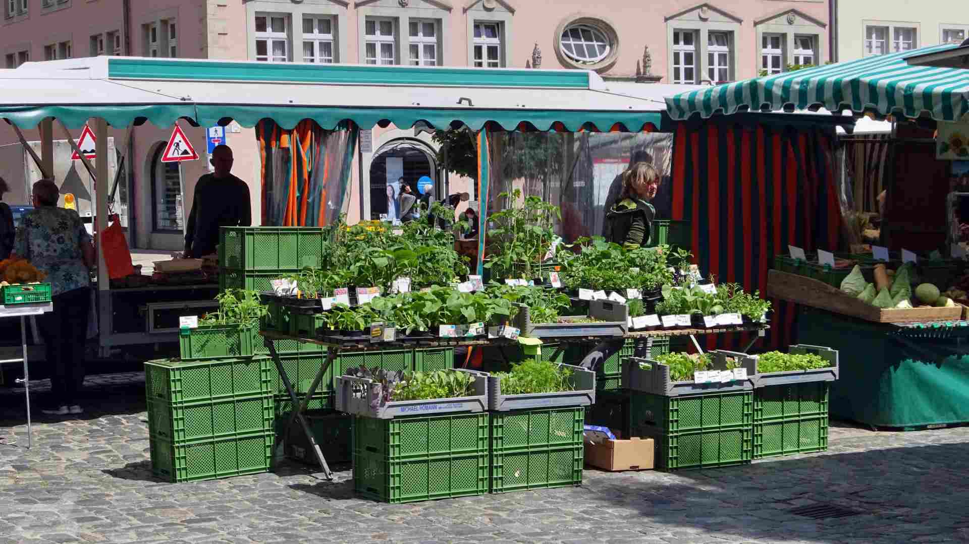 Marktstand auf dem Altstadtmarkt