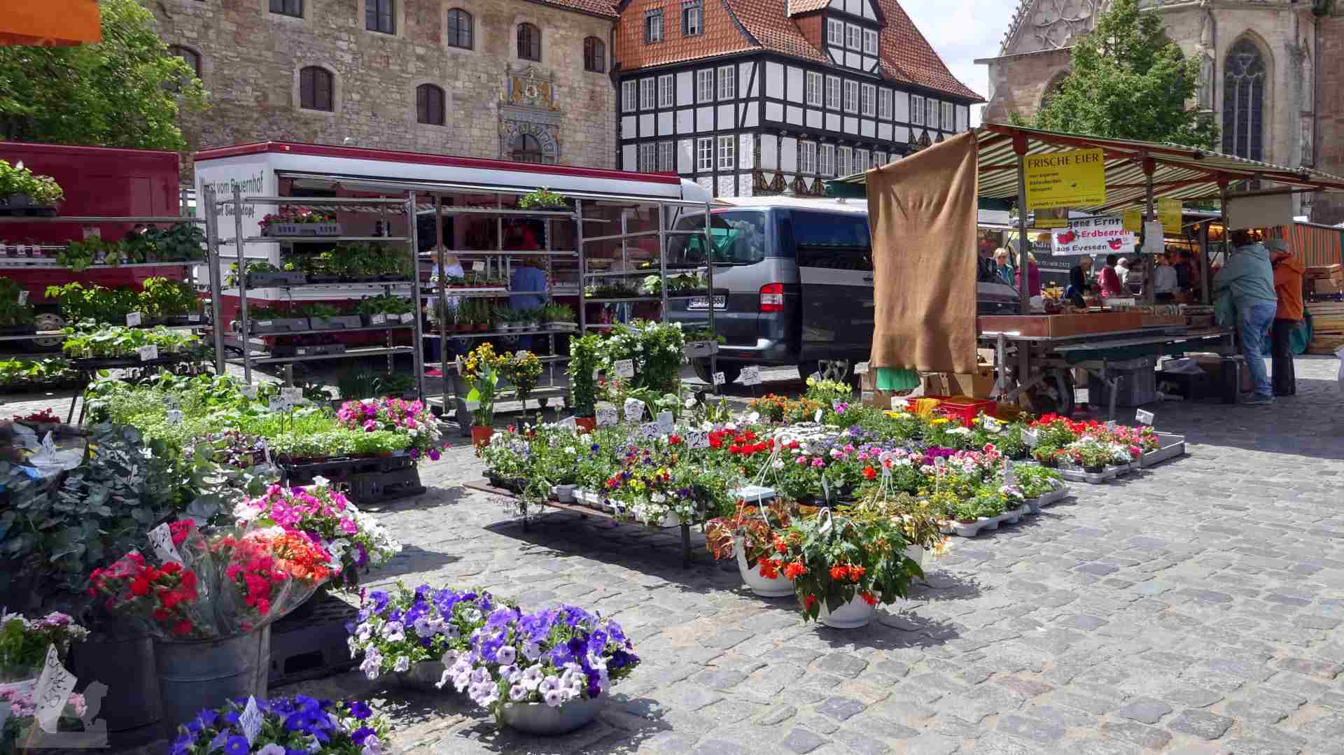 Marktstände auf dem Altstadtmarkt
