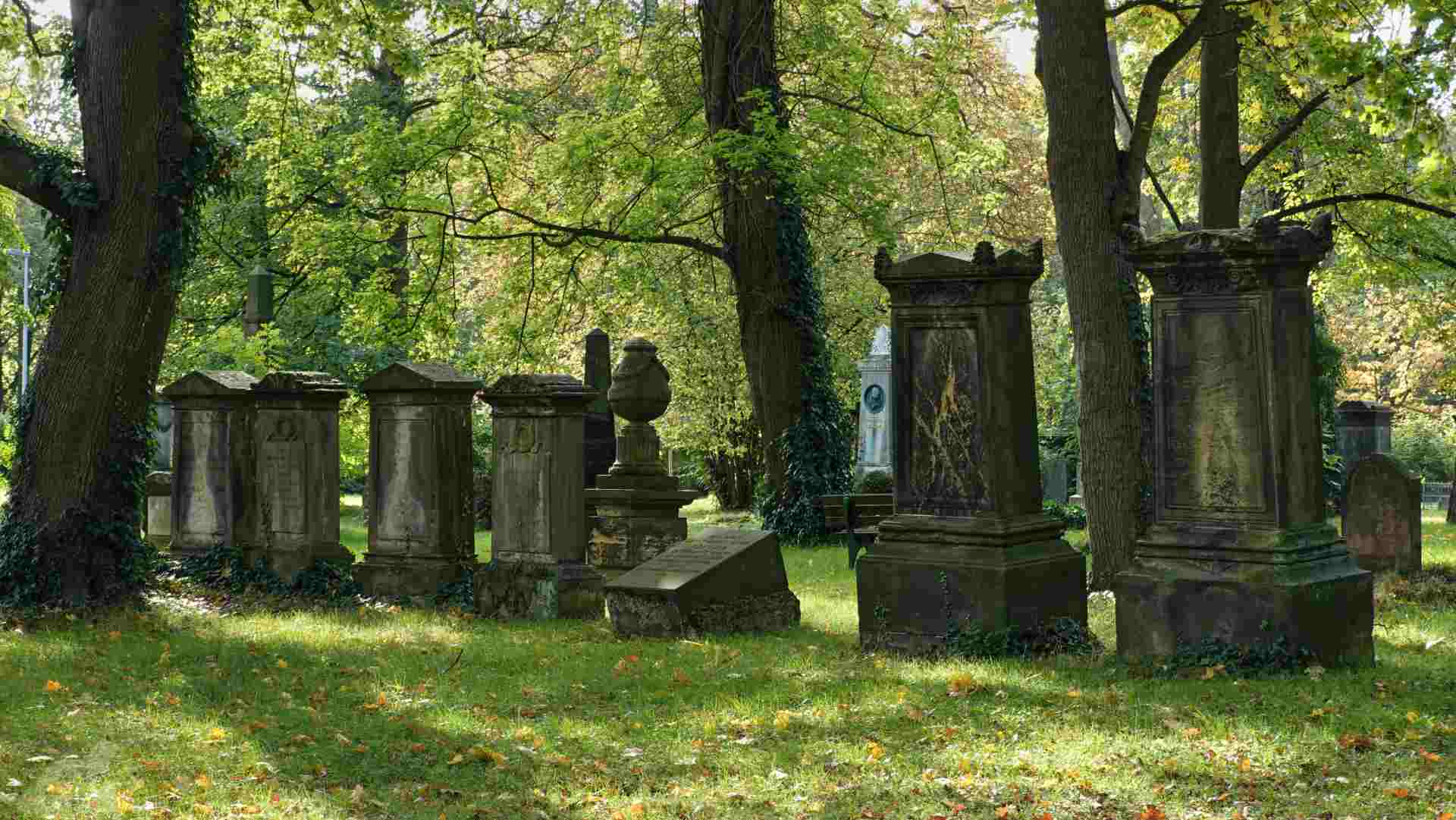 Domfriedhof