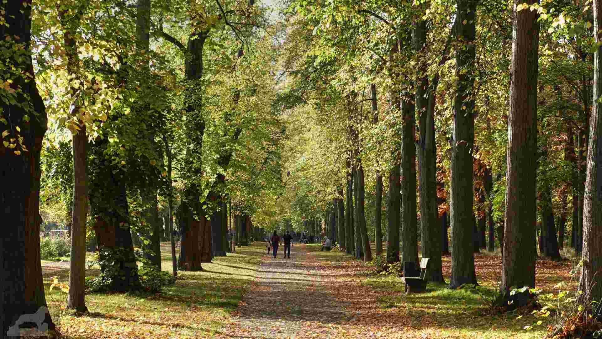 Herbsttag im Prinz-Albrecht-Park