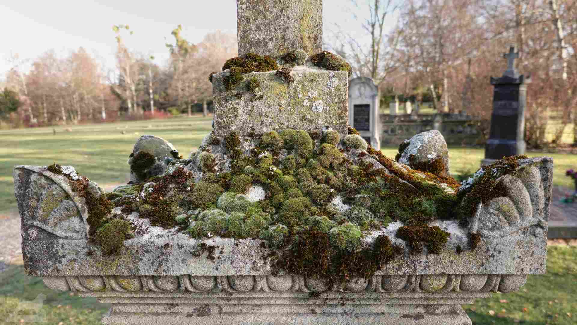Hauptfriedhof - Grabmal