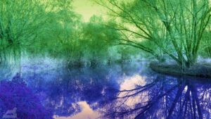 blaue Oker am Südsee mit grünem Wald