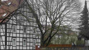 Thiedestraße