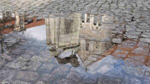 Spiegelung des Braunschweig Löwen in einer Pfütze