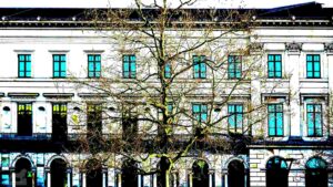 Baum vor den Schloss-Arkaden