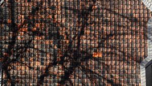 Baumschatten auf der Ziegelfassade am Beginekenworth