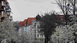 Blühende Magnolienbäume in der Roonstraße