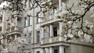 Balkone in der Roonstraße hinter blühendem Magnolienbaum