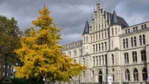herbstlicher Gingkobaum vor der ehemaligen Bezirksregierung