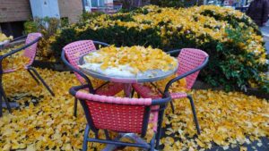 Gingko-Laub auf Tisch eines Imbiß- in der Kastanienallee