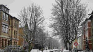 verscghneite Kastanienallee Anfang Dezember 2023