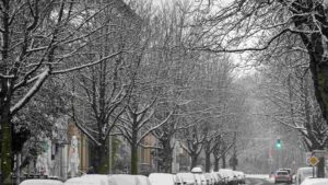 verscghneite Kastanienallee Anfang Dezember 2023