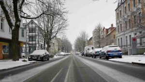 verscghneite Kastanienallee Anfang Dezember 2023