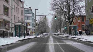verscghneite Kastanienallee Anfang Dezember 2023