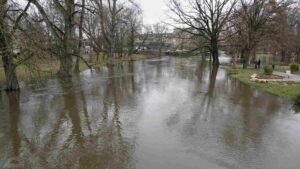 hochwasser führende Oker im Bürgerpark