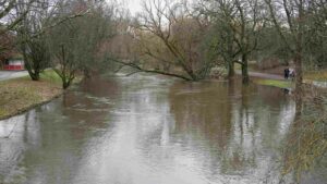 hochwasser führende Oker im Bürgerpark