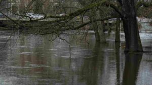 hochwasser führende Oker im Bürgerpark