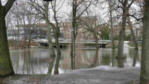 Oker-Hochwasser vor der Konrad-Adenauer-Brücke (Dezember 2023)