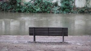 Bank im Museumspark vor Oker mit Hochwasser (Dezember 2023)