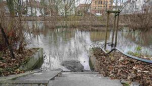 Okerhochwasser (Dezember 2023) Hinter der Masch