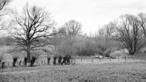 Walkholzweg und Fischergraben (Januar 2001)