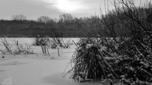 Schapenbruchteich im Januar 2001