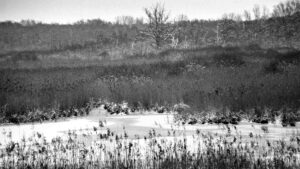 Schapenbruchteich im Januar 2001
