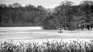Schapenbruchteich im Januar 2001