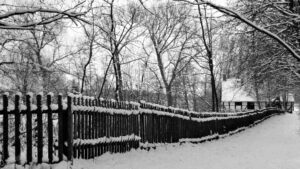 Haus Entenfang Januar 2001)