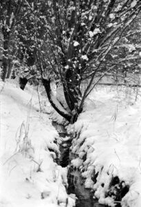 Fischergarben in Riddagshausen (Januar 2001)