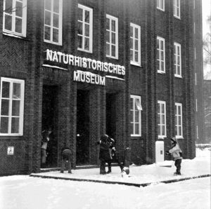 Eingan des Naturhistorischen Museums (Januar 2001)