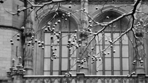 Fenster des Rathaus-Altbaus (Januar 2001)