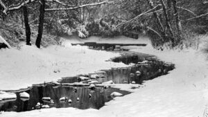 ziemlich versteckt, aber schön: Der Lagesteich in Riddagshausen (Januar 2001)
