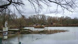 überschwemmte Schrebergärten in der KGV Soolanger (Januar 2024)