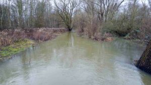 Die Mittelriede - normalerweise nur ein kleiner Bach (Hochwasser im Januar 2024)