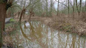 Hochwasser führende Wabe