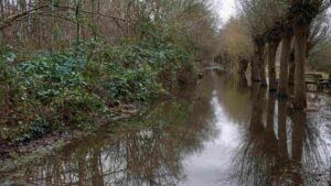 überfluteter Walkholzweg (Hochwasser Januar 2024)