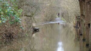 überfluteter Walkholzweg (Hochwasser Januar 2024)